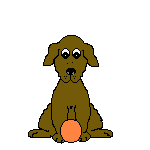 Dog plays ball