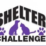 animal shelter challenge