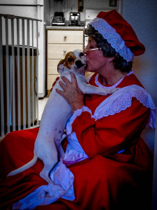 Pet Sitter Vicki playing Mrs Claus for House Calls Pet Sitting clients in Livermore, CA